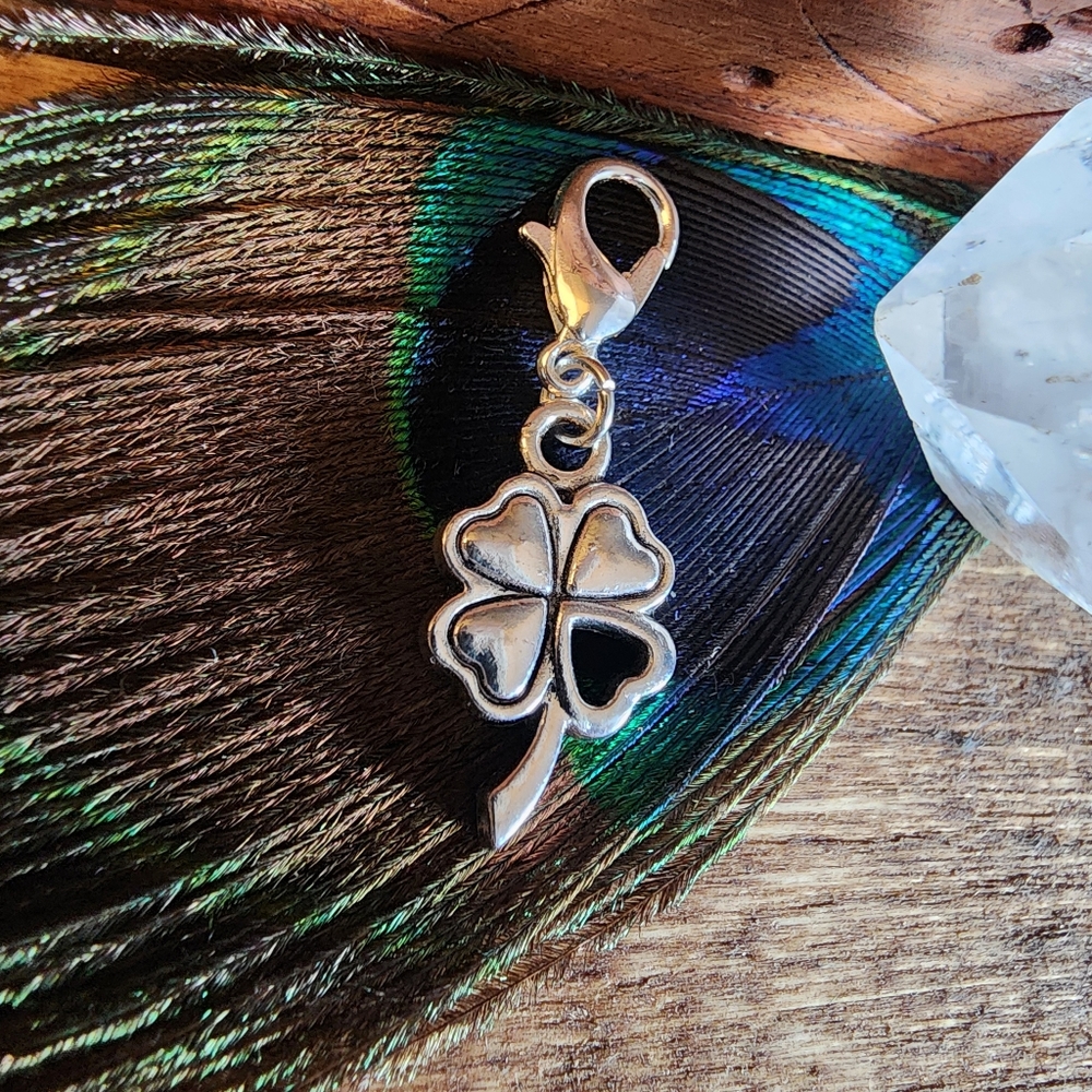 5/$25 Irish Shamrock Heart Charm for Bracelet St Patrick's Day Clover Bag Clip - Picture 11 of 13